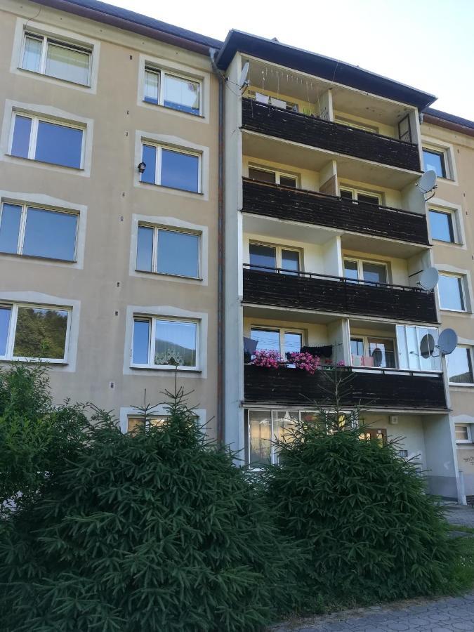 Apartman 21 Apartment Loučná nad Desnou Bagian luar foto